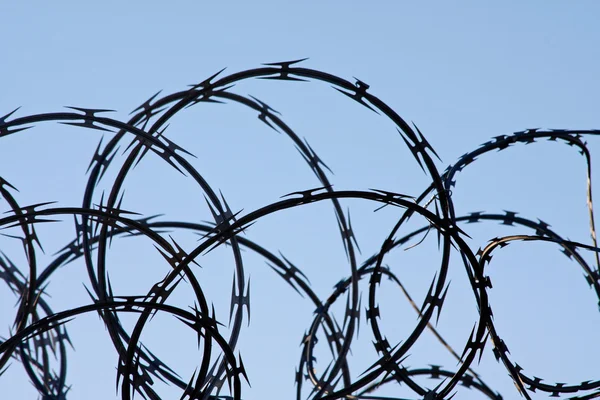 Razor wire against a blue sky — Stock Photo, Image