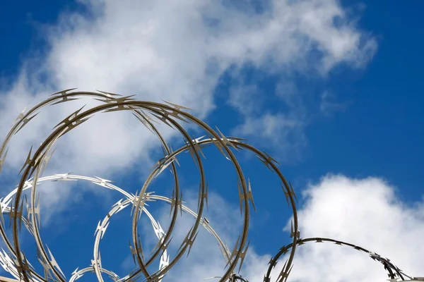 Razor wire Stock Image