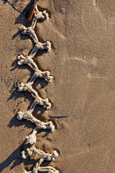 Узел веревки на песчаном пляже — стоковое фото