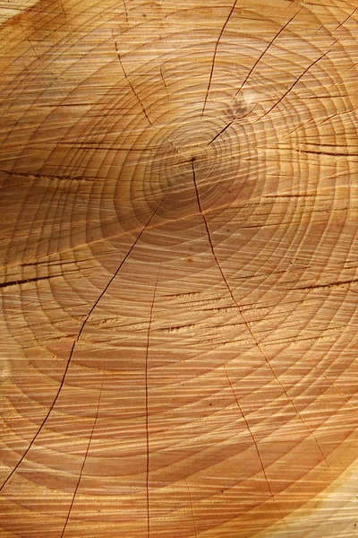 Sawn timber showing annual rings — Stock Photo, Image