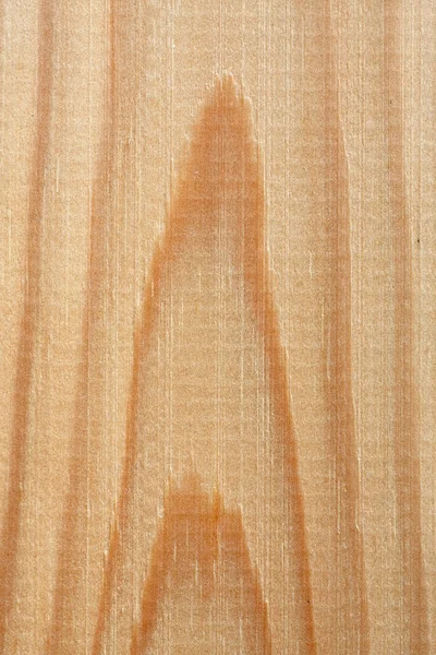 Grain de bois texture close up — Photo