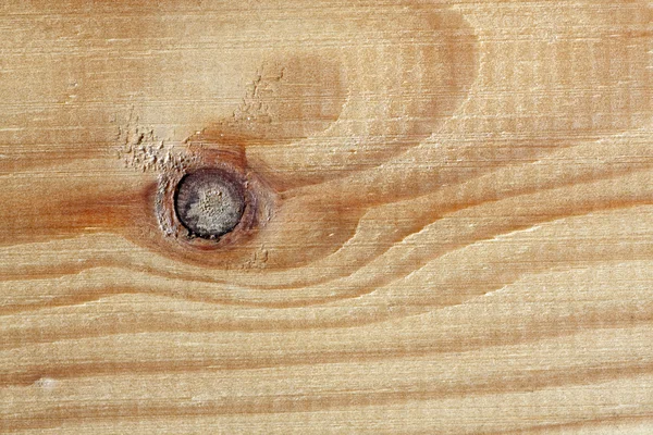 Wood grain close up texture — Stock Photo, Image