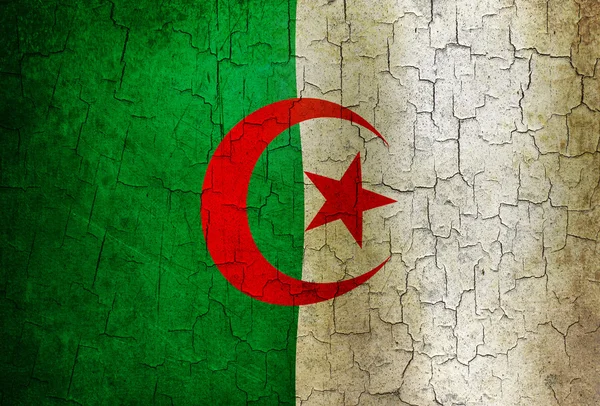 Grunge Cezayir bayrağı — Stok fotoğraf