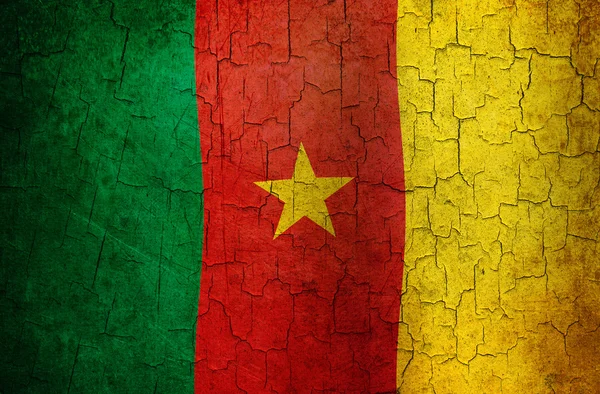 Grunge Kameroen vlag — Stockfoto