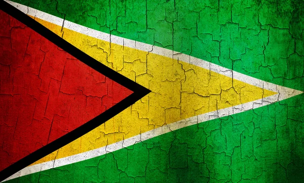 Grunge Guyana Flagge — Stockfoto