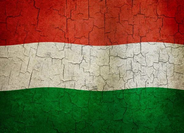 Grunge Ungarn Flag - Stock-foto