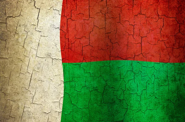 Grunge Madagascar flag — Stock Photo, Image