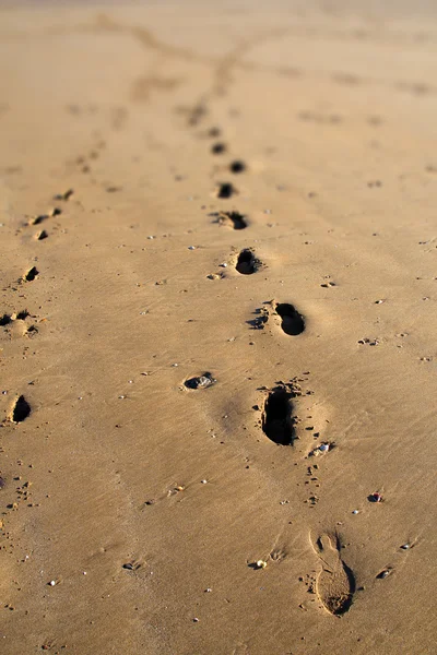 Ślady stóp na piaszczystej plaży — Zdjęcie stockowe