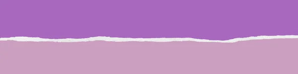 Ripped purple paper banner — Stock Photo, Image