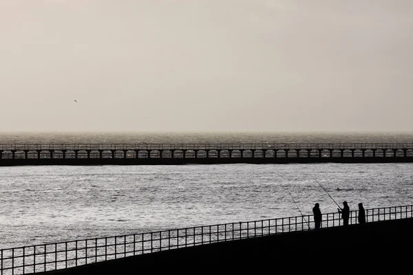 Havsfiske — Stockfoto