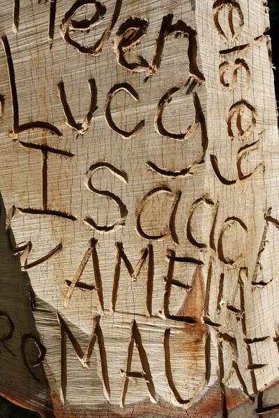 Names carved into wood — Stock Photo, Image