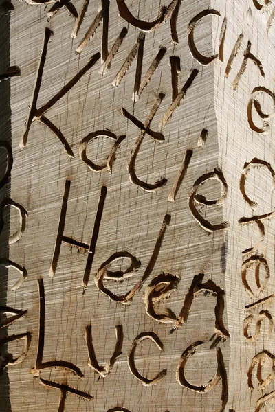 Nomes esculpidos em madeira — Fotografia de Stock