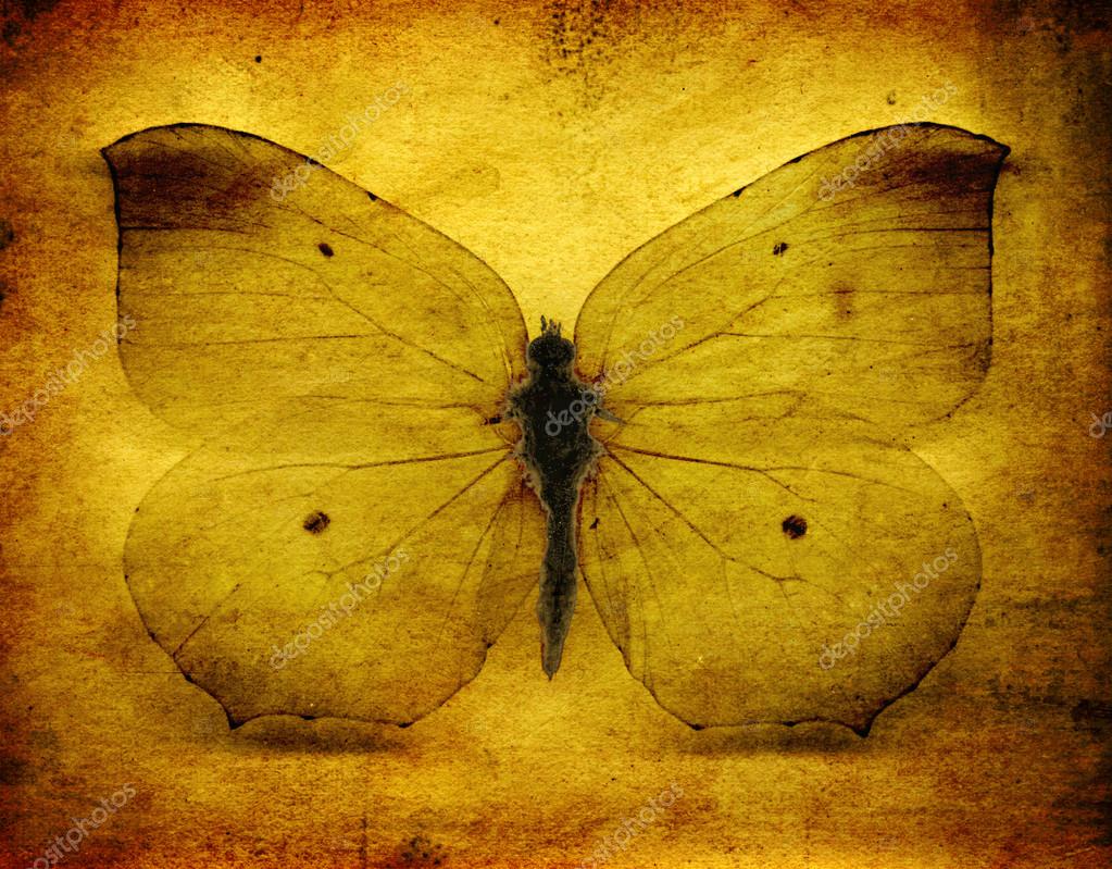 Grunge butterfly background — Stock Photo © steveball 51461529