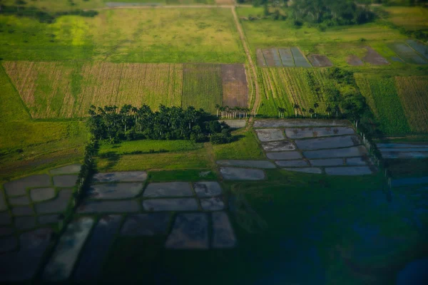 Image of summer green meadow with tilt shift effect. — Stock Photo, Image