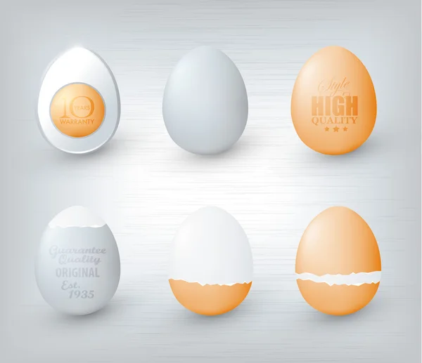 Big egg set — Stock Vector