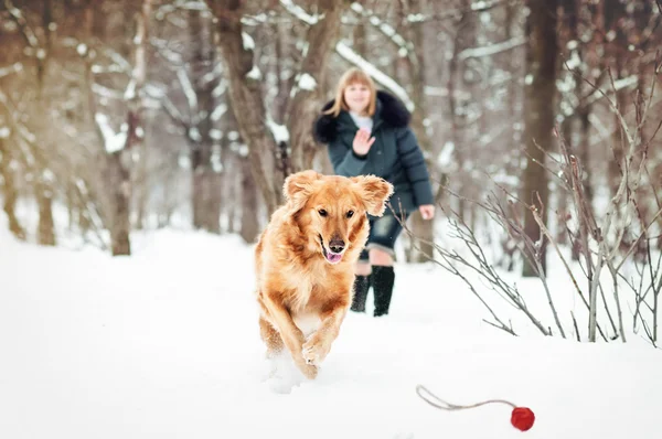 Bästa vänner — Stockfoto