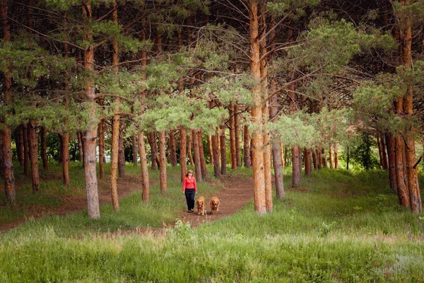 Köpeği olan bir kadın portresi — Stok fotoğraf