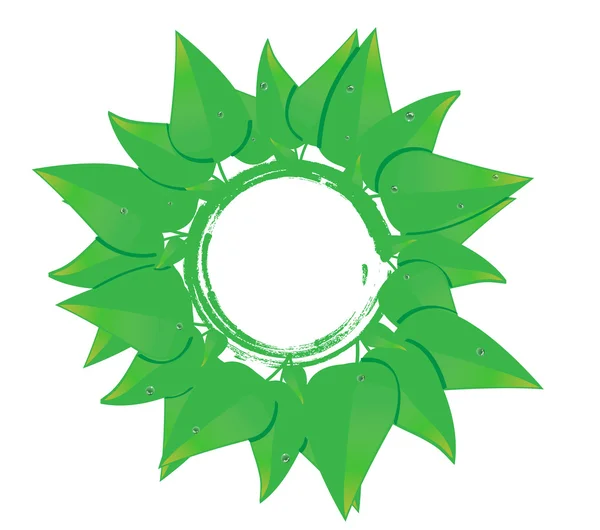 Groene plant concept — Stockfoto