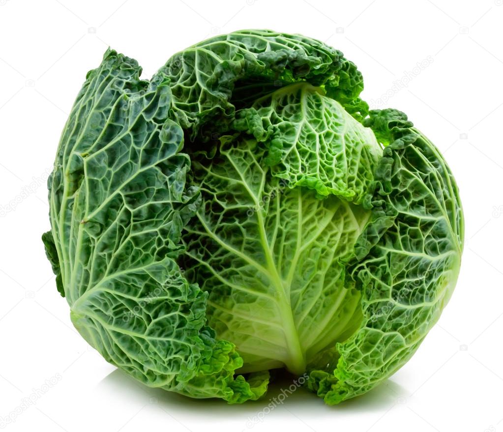 Savoy cabbage