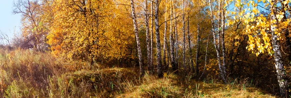 Otoño — Foto de Stock