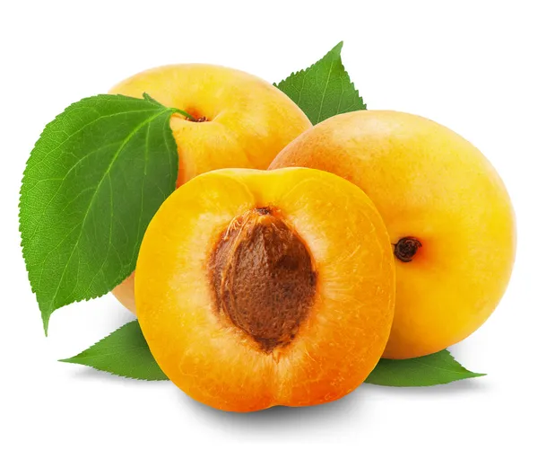 Apricot — Stock Photo, Image