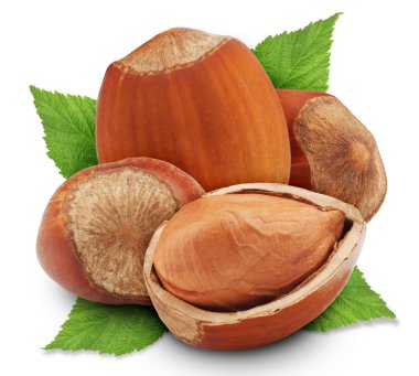 fındık