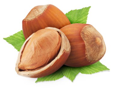 fındık