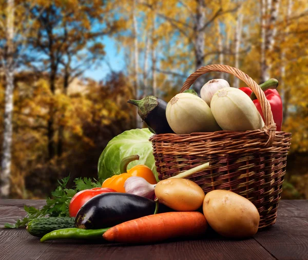 Produtos hortícolas — Fotografia de Stock