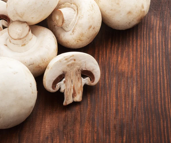 Champignon. — Fotografia de Stock