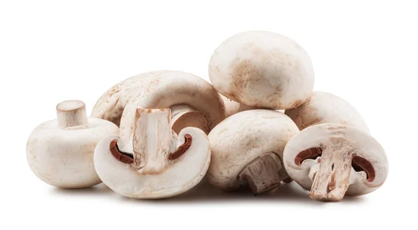 Champignon — Stockfoto