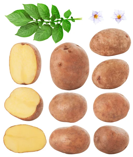 Patates.