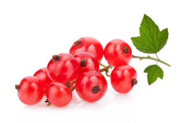 Kırmızı kuş üzümü