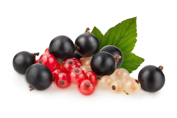 Currant — Stock Photo, Image