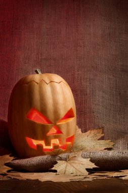 Cadılar Bayramı Balkabağı