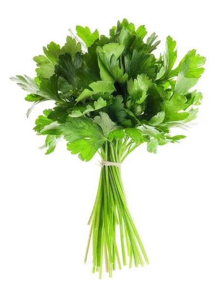 Parsley — Stock Photo, Image