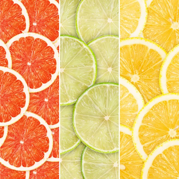 Citrus-fruit — Stock Photo, Image
