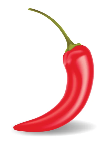 Chili peper — Stockvector