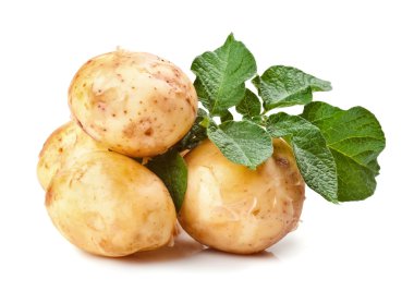 Patates.