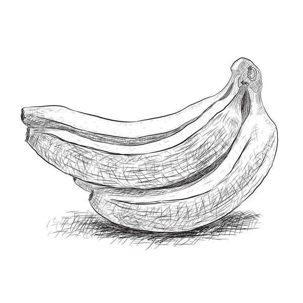 Sketch banana — Stock Vector