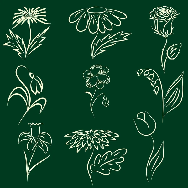Dibujo de flores — Archivo Imágenes Vectoriales