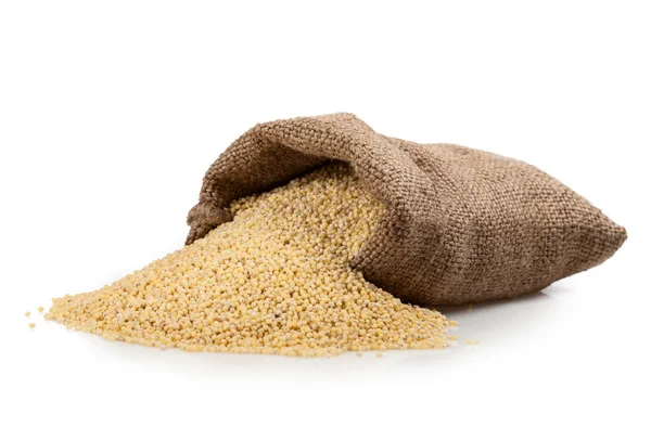 Bag millet — Stock Photo, Image