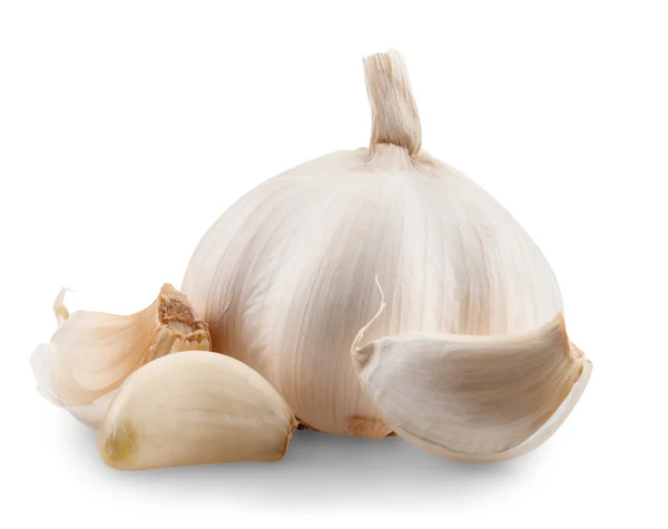 Knoblauch isoliert — Stockfoto