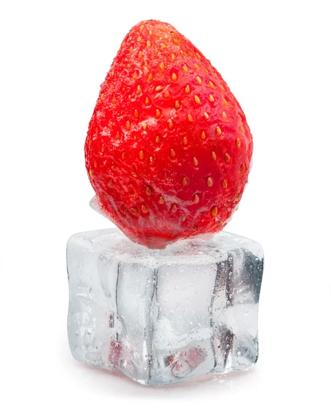 Eiswürfel — Stockfoto