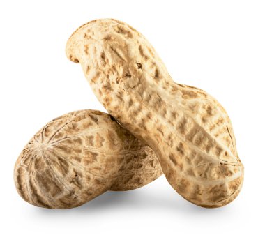 Fıstık