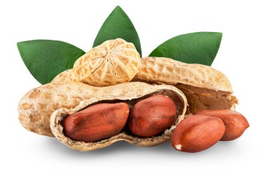 Fıstık