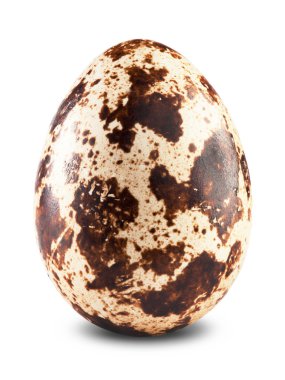 Bıldırcın yumurta 