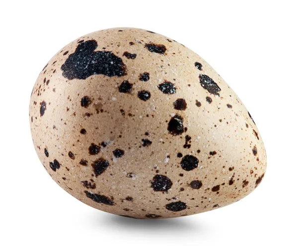 Huevo de codorniz —  Fotos de Stock