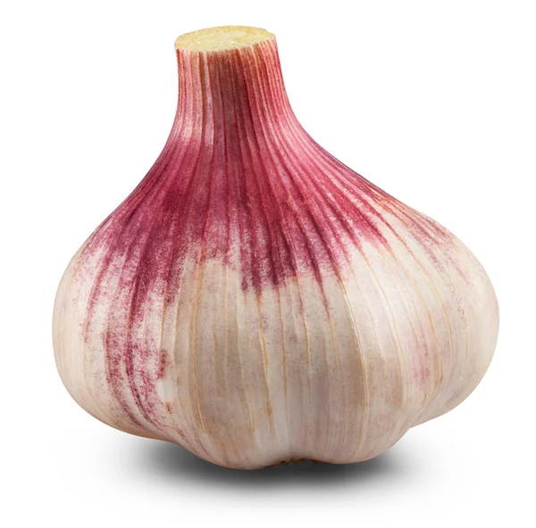 Knoblauch isoliert — Stockfoto