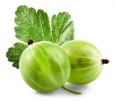 bektaşi