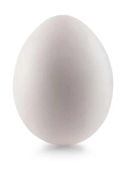 Beyaz yumurta — Stok fotoğraf